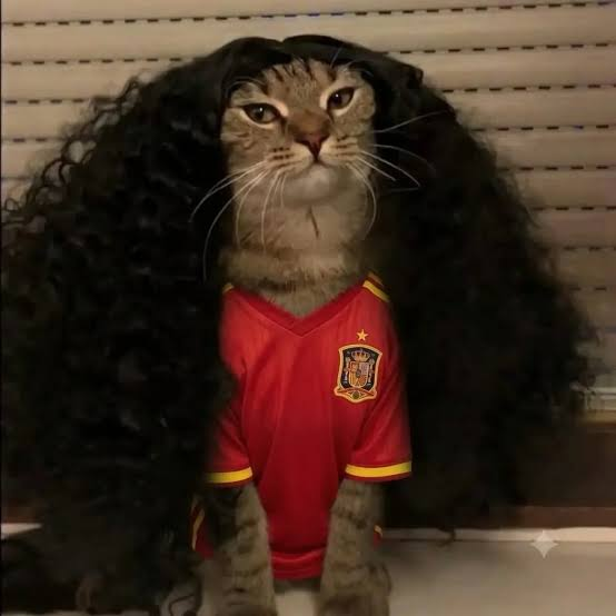 Cucurella Cat in the curly black wig